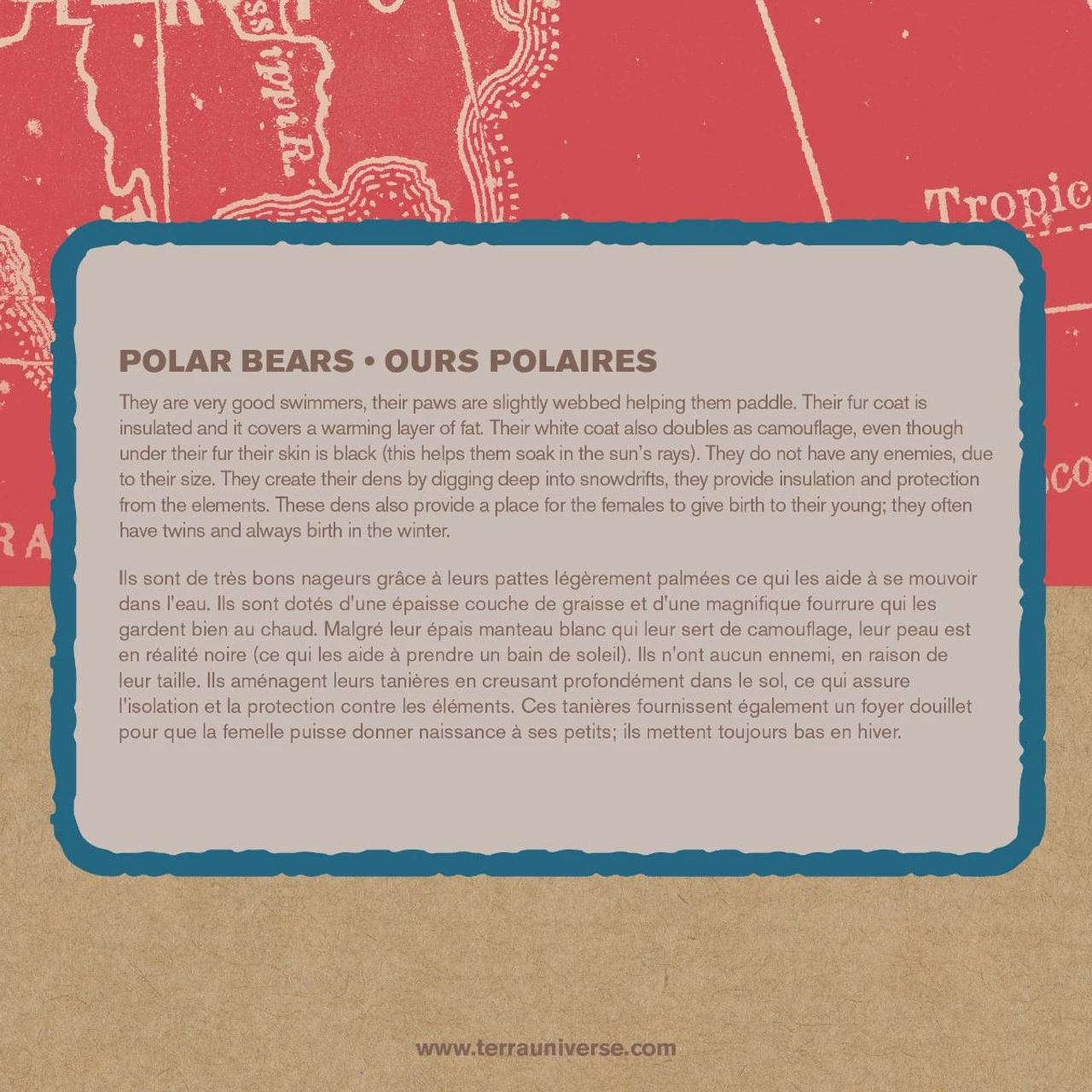 Terra Polar Bear Family - Image 3