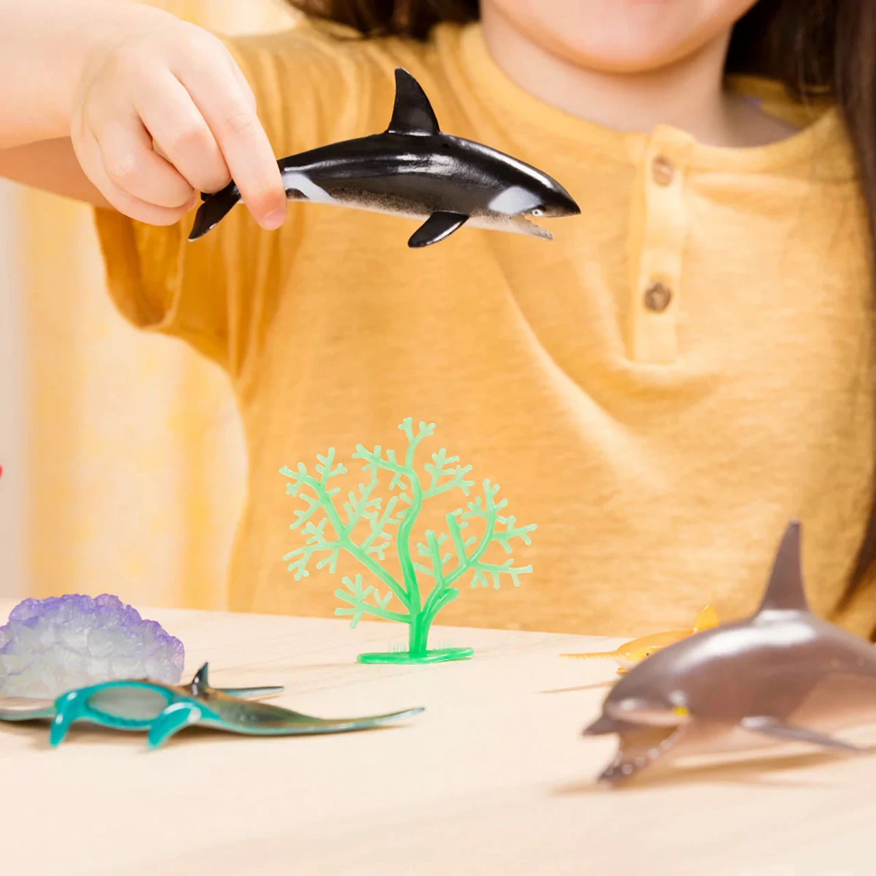 Terra Marine World - Image 5