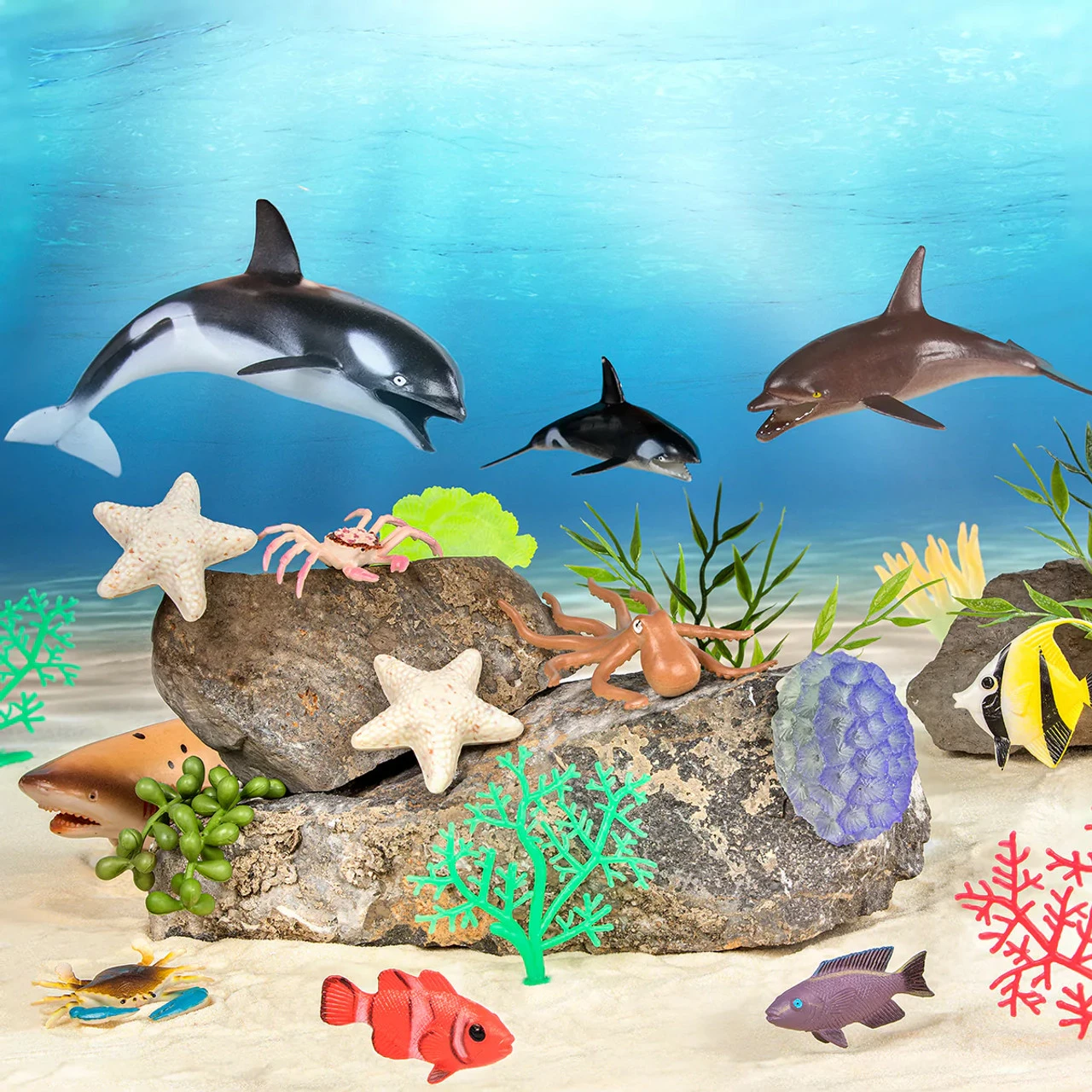 Terra Marine World - Image 6