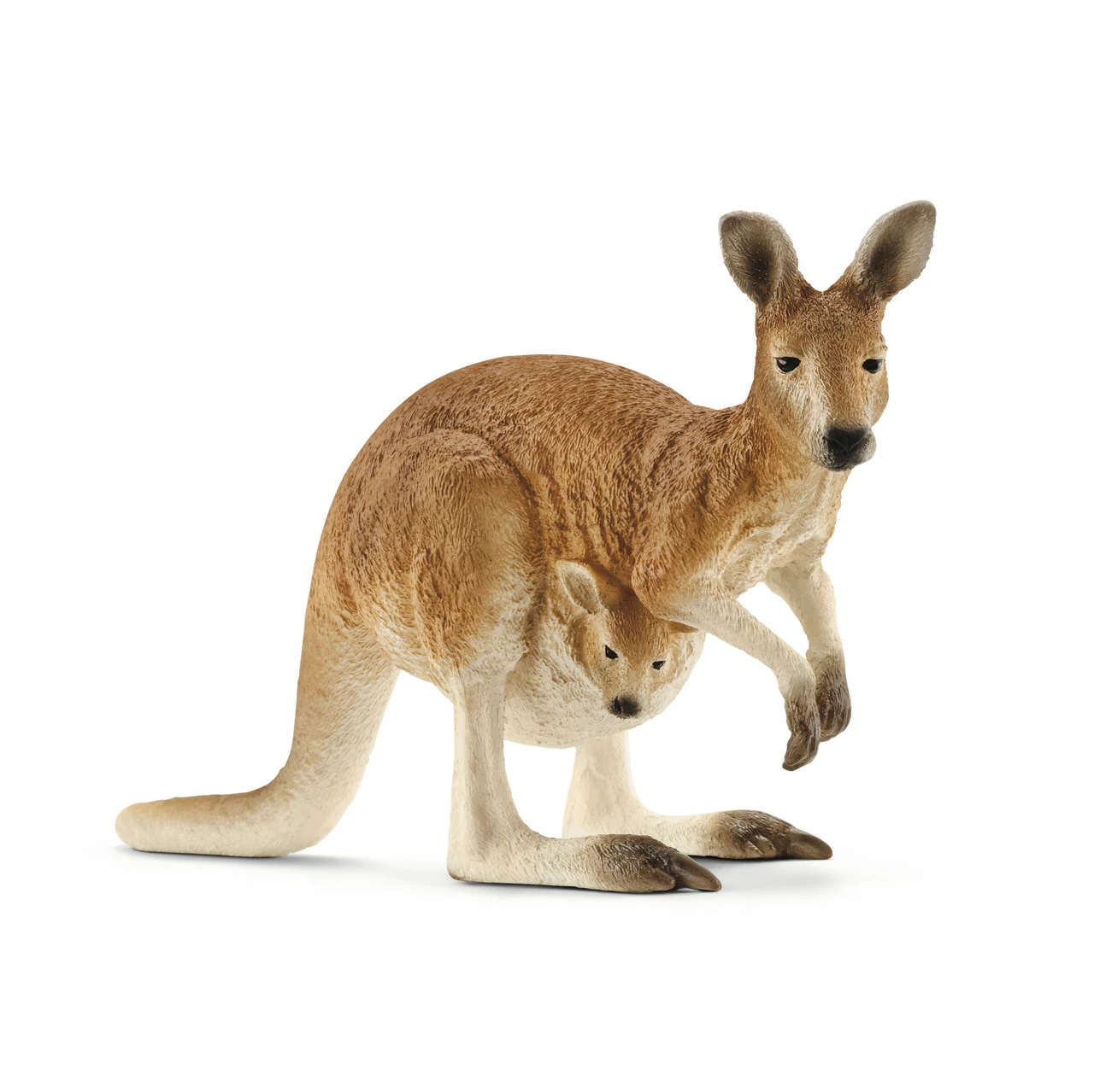 Schleich - Kangaroo | SC14756