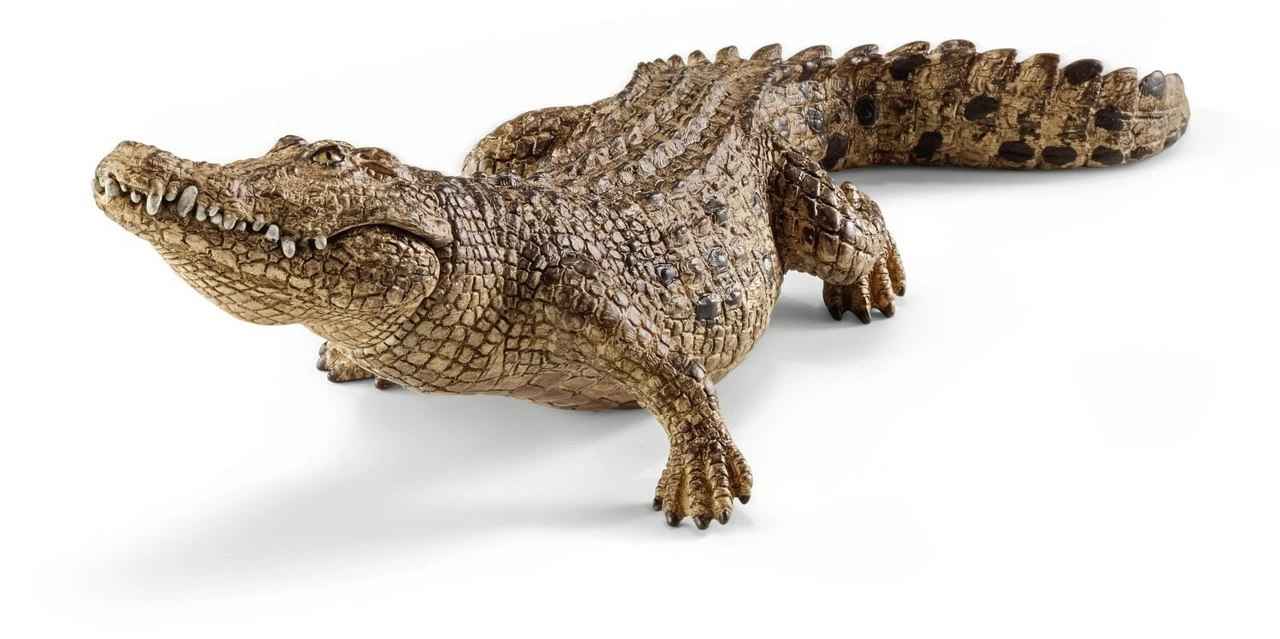 Schleich - Crocodile | SC14736 3 Schleich - Crocodile | SC14736