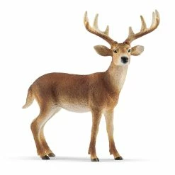 Schleich-White-tailed Buck | SC14818