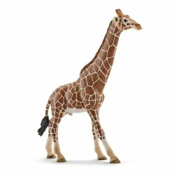 Schleich - Giraffe Male | SC14749